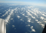 機上から、うろこ雲.gif